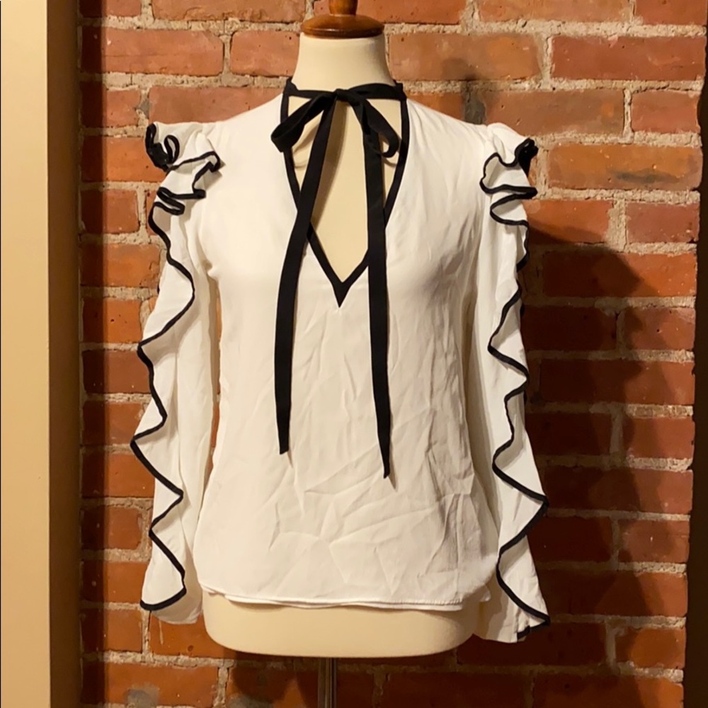 Alexis 100% silk ruffle sleeve top